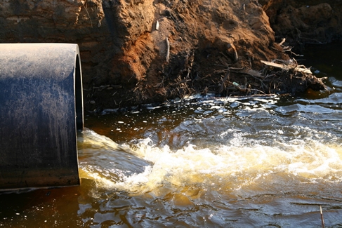 다뚜러김반장 PC 이미지 5673415